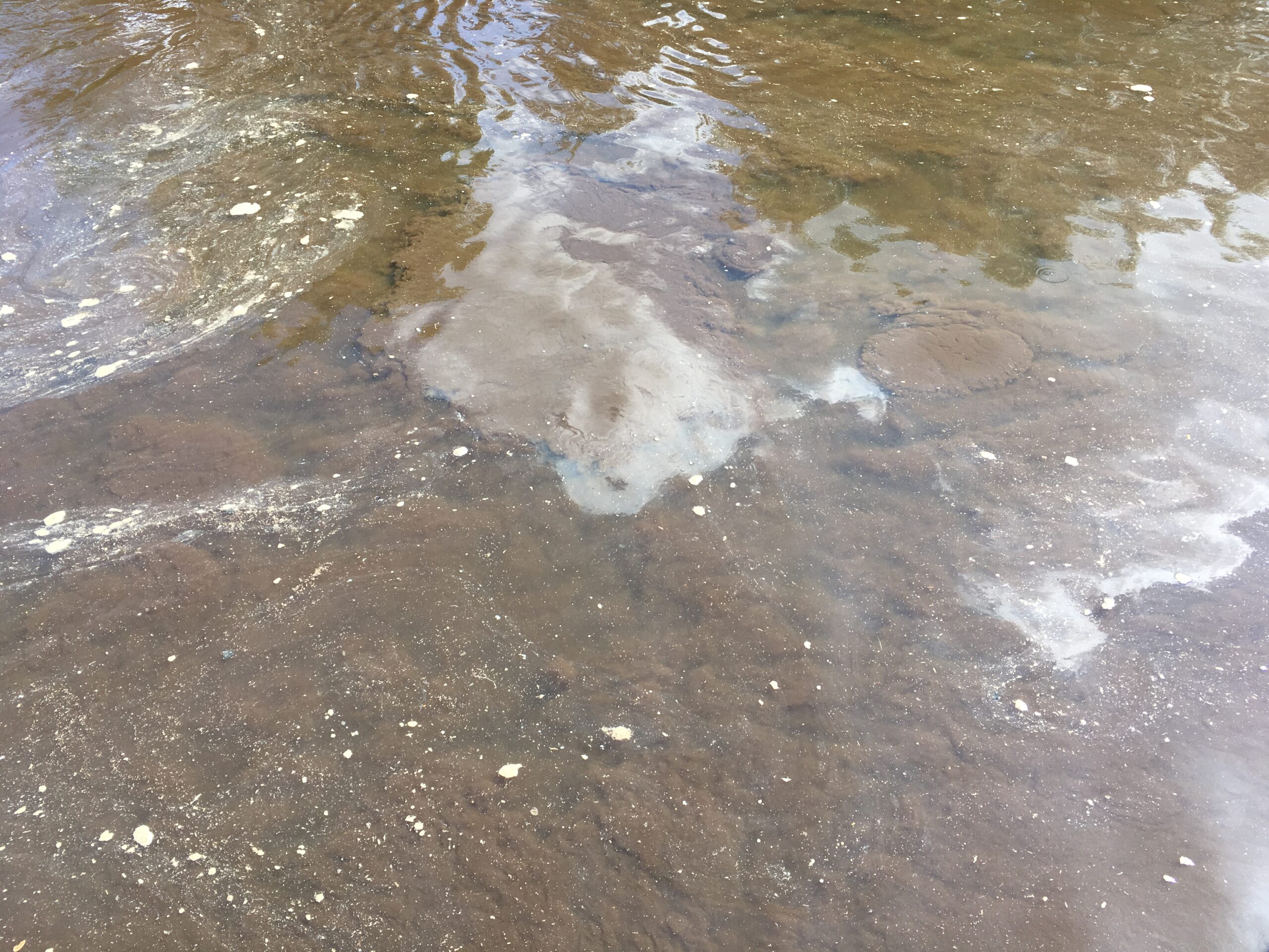 Rührwerkstechnik im Klärwerk
