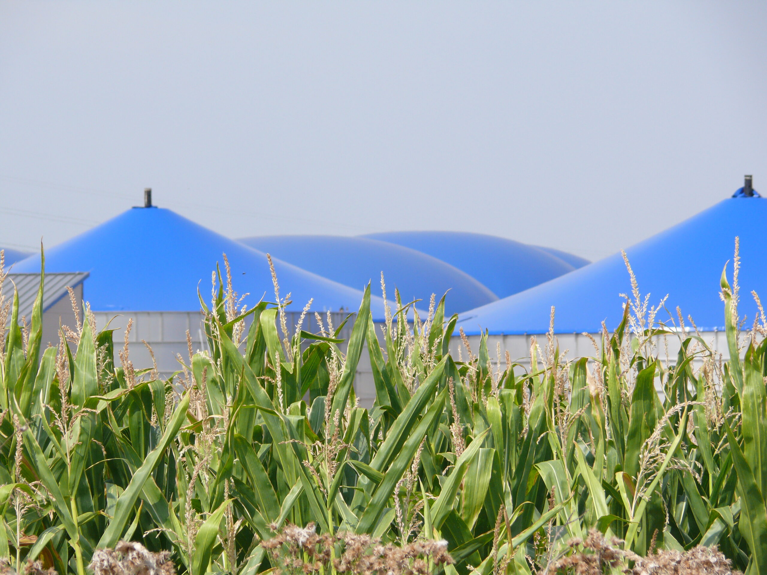 Biomethanraffinerie Könnern