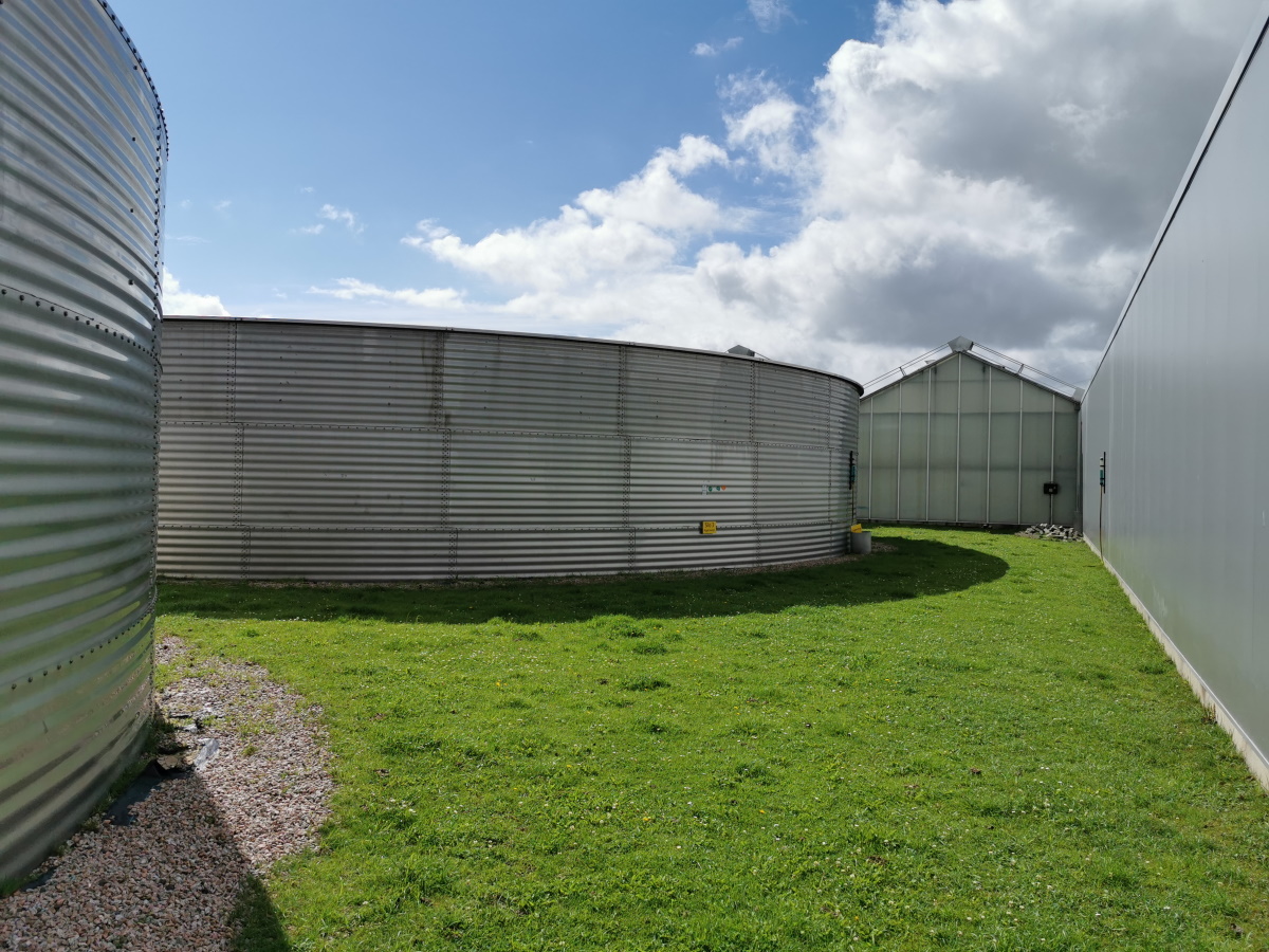 Edelstahlbehälter als Regenspeicher für Pflanzenzucht